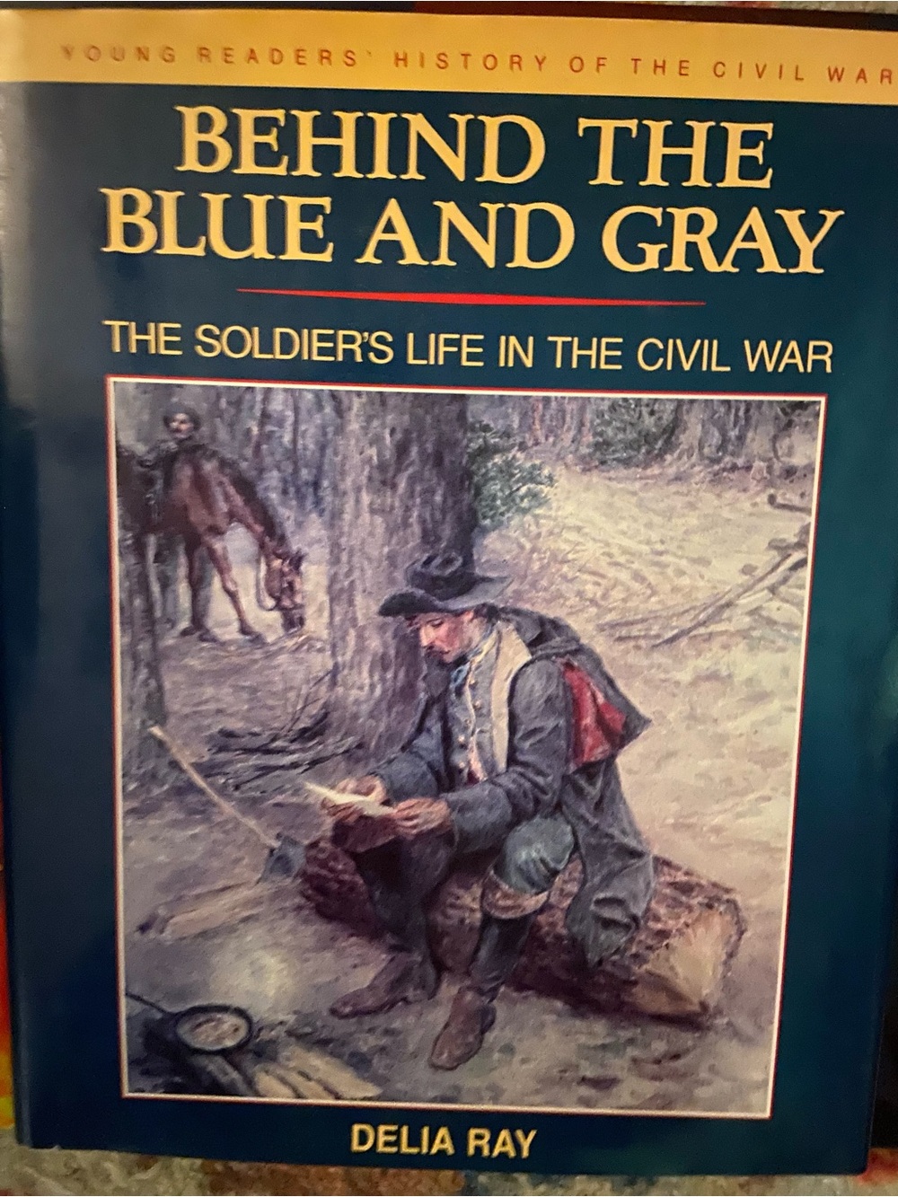 Civil War Blue and Gray soldier soldiers horse painting cover hardcover book